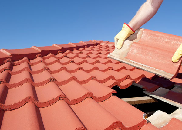 About Browerville MN Roofers